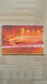 奥斯卡红毯秀