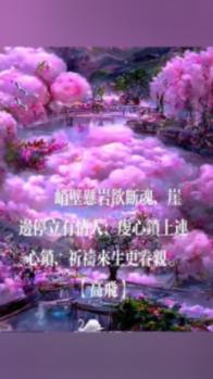 妙鸭相机app下载官网